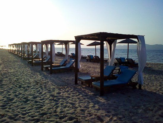 Daily Art Beach Gallery