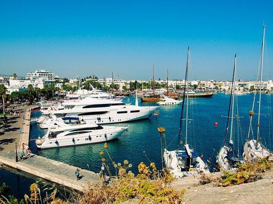 Πλάτανος του Ιπποκράτη